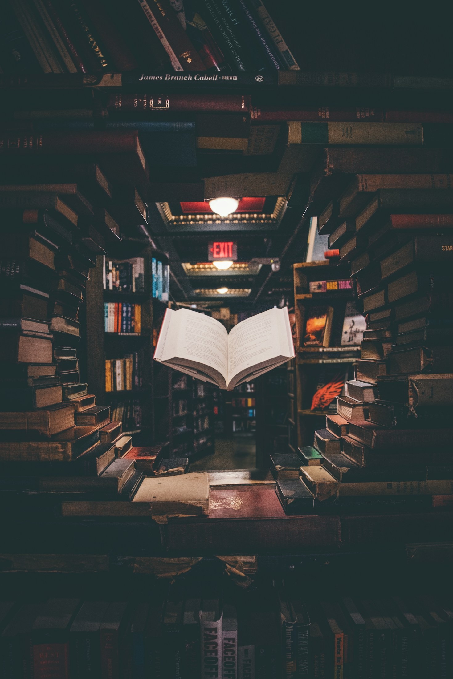 A intersecção entre segurança e literatura